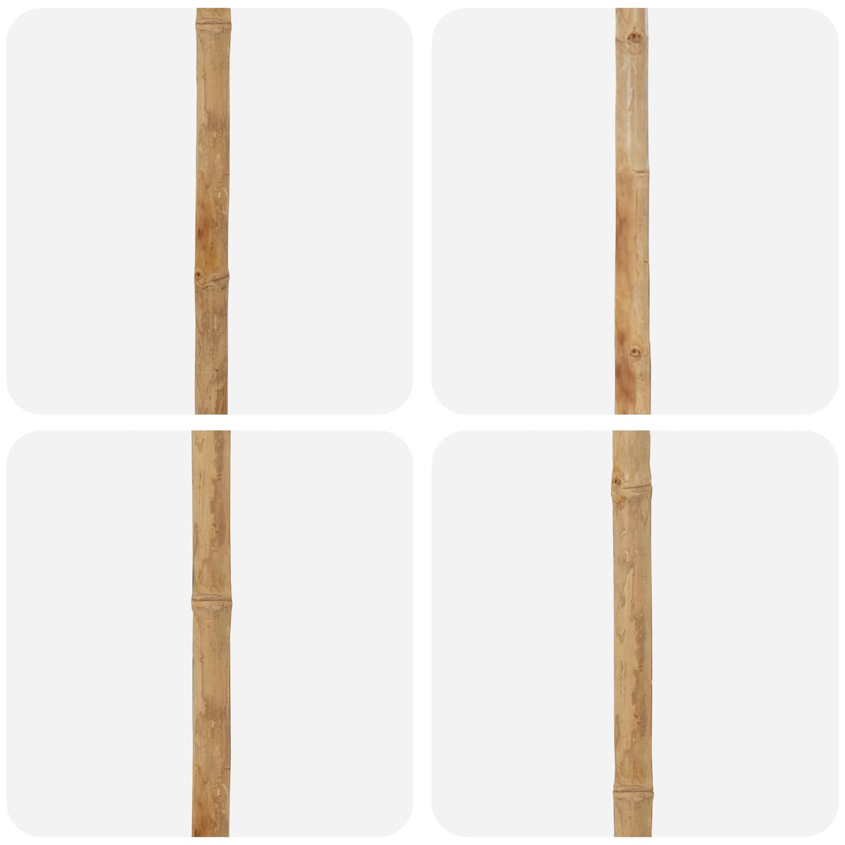 Puutarhavarjo Kerman valkoinen Ø 270 x 260 cm Bambu